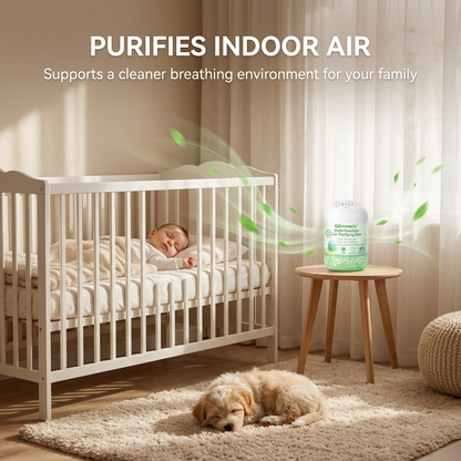🏆Multi-Function Air Purifying Box