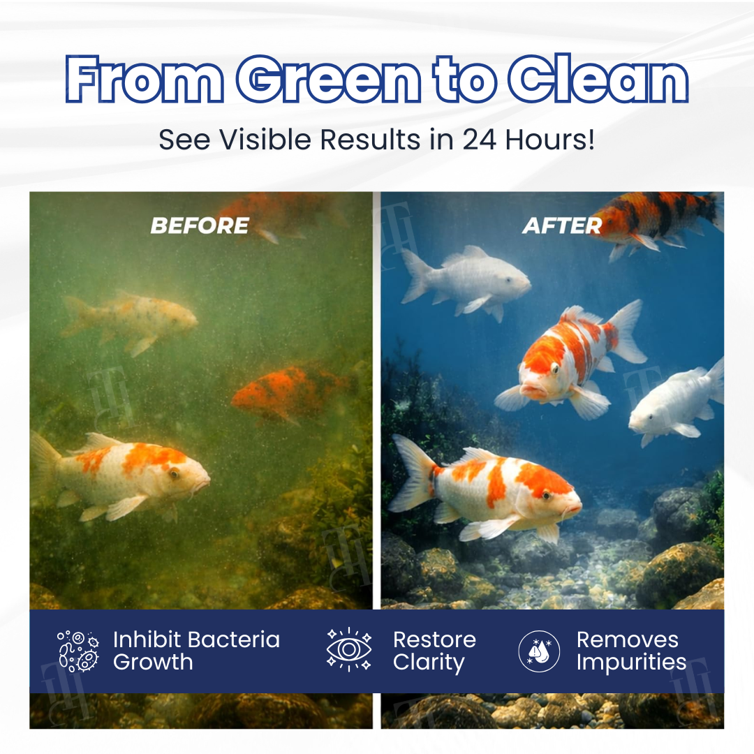 ✨ Zero Math, Zero Stress! | 🌊 Just Pour & Walk Away |RZXEA™ 24H Max-Clear Bio-Engine