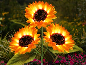🔥 Father's Day Special-🌞Solar LED Sunflower Garden Lights