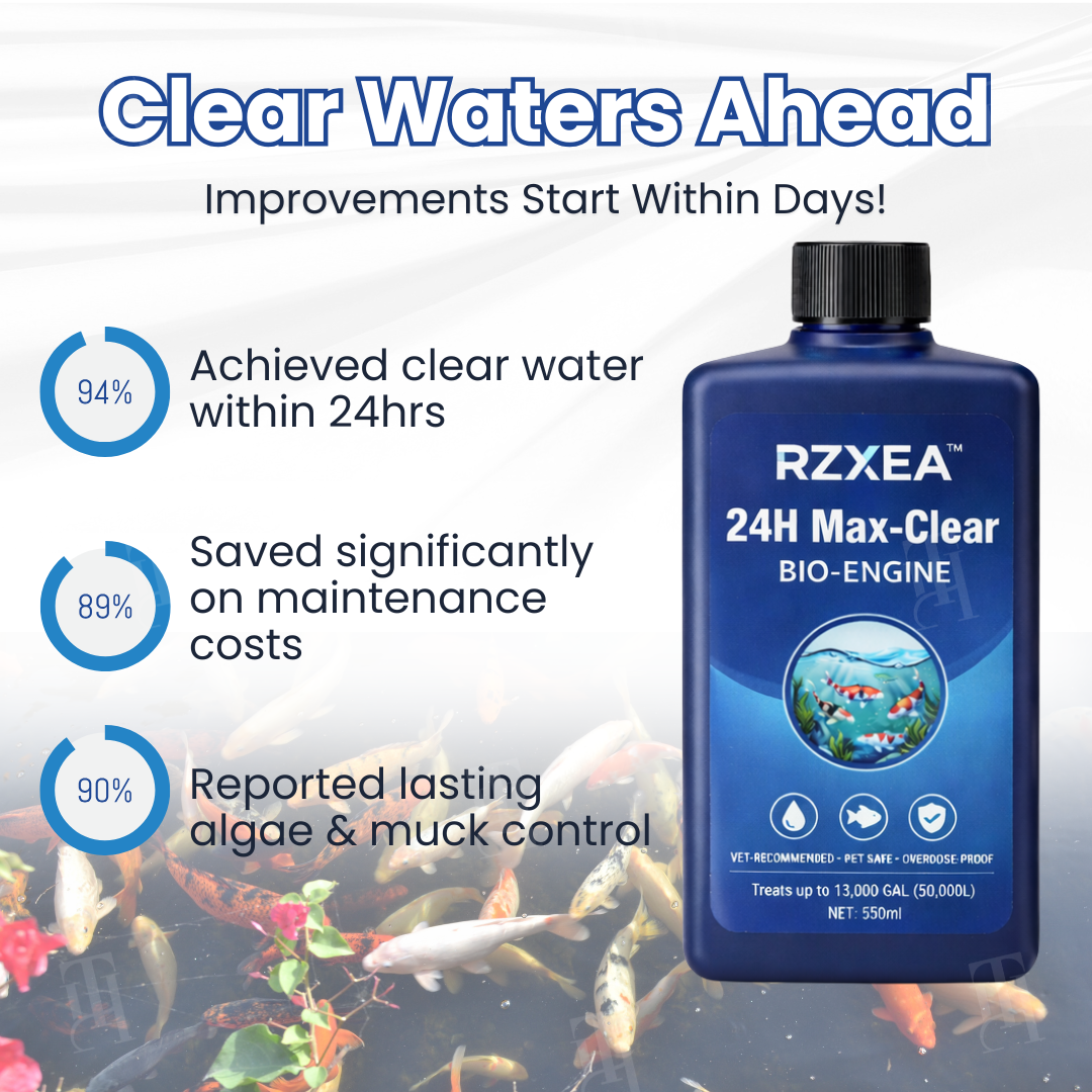 ✨ Zero Math, Zero Stress! | 🌊 Just Pour & Walk Away |RZXEA™ 24H Max-Clear Bio-Engine