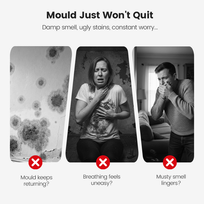 🎁 Hot Sale 49% OFF 🔥2026 Hot Sale🔥Highly Effective Mould Removal Spray - Prevents Mould Regrowth